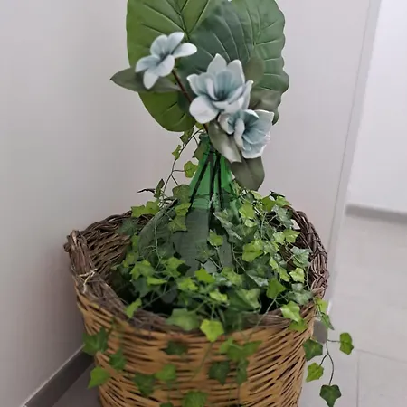 Tatil Evi Casa Maia *