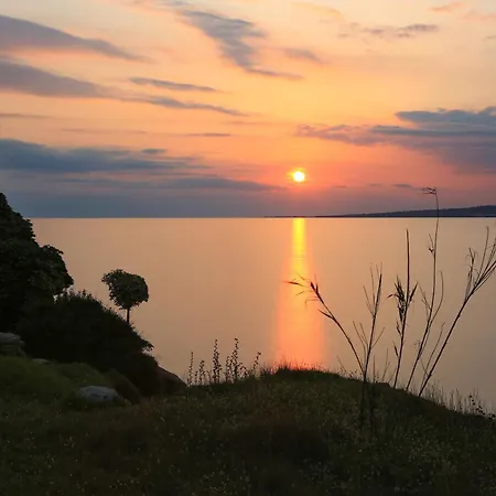 Casa Maia פוג'ארדו