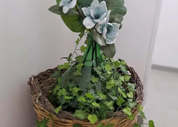 度假居 Casa Maia *